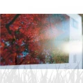 Papier fotograficzny Ilford Galerie Satin Photo 260g - 13x18 (100 arkuszy) (2004022)