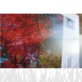 Papier fotograficzny Ilford Galerie Satin Photo 260g - 13x18 (100 arkuszy) (2004022)