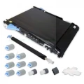 Hewlett-Packard Oryginał CE249A - Transfer Kit Color(CMYBk)