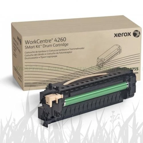 Bęben Xerox Oryginał 113R00755 Black