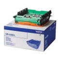 Bęben Brother Oryginał DR-320CL Color(CMYBk)