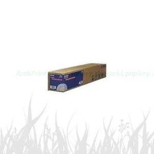 Epson Papier Roll Photo Gloss 44" x 30.5m, 250g/m2 (C13S041895)