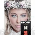Papier fotograficzny Ilford Galerie Gold Fibre Gloss 310g - A2 (25 arkuszy) (2004033)