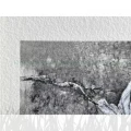 Próbnik papierów HAHNEMUHLE Sample Pack - Matt FineArt Textured - A3+ / 5x 2 arkusze (10640053)