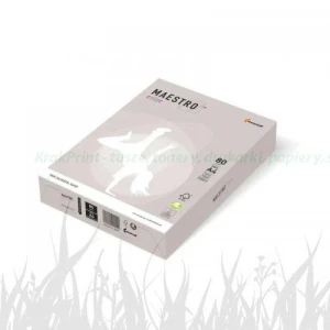 Papier Mondi MAESTRO Color Trend - GR21 - szary (A4/80 g/m2) - 5 ryz (GR21)