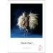 Papier HAHNEMUHLE FineArt Pearl 285gsm - A3, 25 arkuszy (10640501)