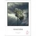 Papier HAHNEMUHLE German Etching 310gsm - A3+, 25 arkuszy (10641641)
