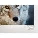 Papier Fine Art AWAGAMI Premio Unryu 165g - 10x15 (10 ark.) (IJ-6426)
