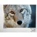 Papier Fine Art AWAGAMI Premio Unryu 165g - 10x15 (10 ark.) (IJ-6426)