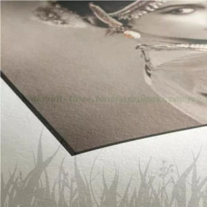 Papier fotograficzny Hahnemuhle Photo Rag 308g Photo Cards - 10x15 (30 ark) (10640770)