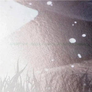 Papier fotograficzny mediaJET High Gloss 310g (10x15) PGC 310FD - 40 arkuszy (0245009998)
