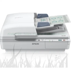 Skaner Epson DS-6500 (B11B205231)
