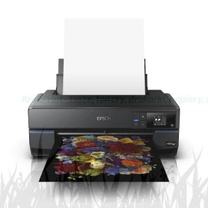 Ploter Epson SC-P800 + Roll unit / A2 (C11CE22301BR) - zapytaj o cenę