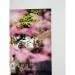 Papier Fine Art AWAGAMI Bamboo 110g - A1 (10 ark.) (IJ-1341)