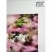 Papier Fine Art AWAGAMI Bamboo 110g - A1 (10 ark.) (IJ-1341)