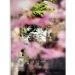 Papier Fine Art AWAGAMI Bamboo 110g - A1 (10 ark.) (IJ-1341)