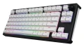NTT:29051